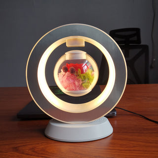 Magnetic Levitating Night Light