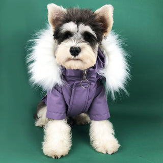 Pup Winter Coats