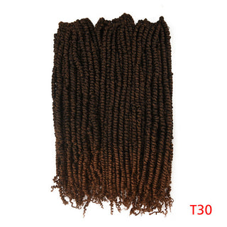 Crochet Braid Twist