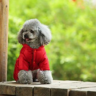 Dog Bubble Vest