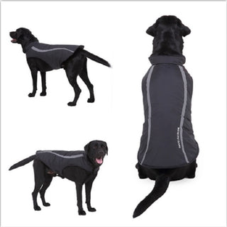 Dog Winter Jacket