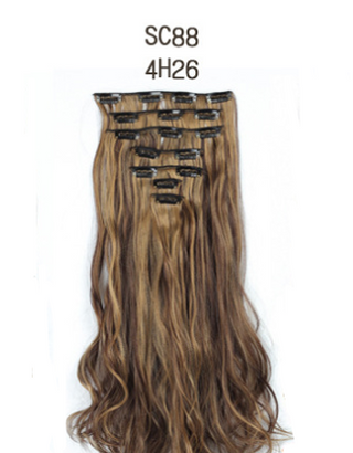 22In Clip Ins