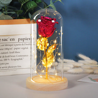 Valentines Day Eternal Rose Flowers LED Light In Glass Cover