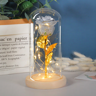 Valentines Day Eternal Rose Flowers LED Light In Glass Cover