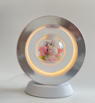 Magnetic Levitating Night Light