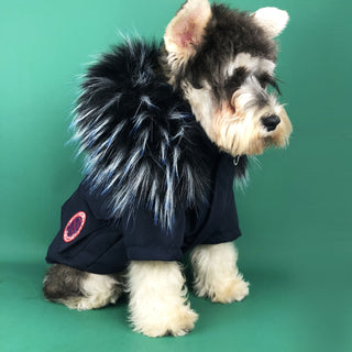 Pup Winter Coats