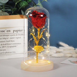 Valentines Day Eternal Rose Flowers LED Light In Glass Cover