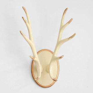 Deer Antler Wall Hook