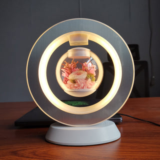 Magnetic Levitating Night Light