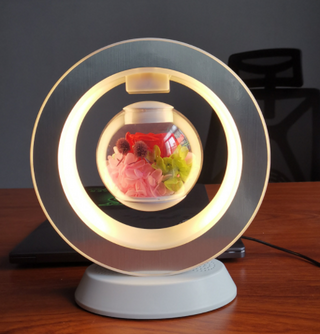 Magnetic Levitating Night Light