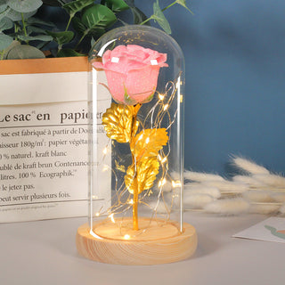 Valentines Day Eternal Rose Flowers LED Light In Glass Cover