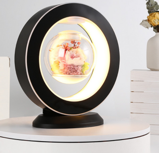 Magnetic Levitating Night Light